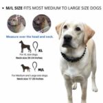 Only Leash™ - Image 4