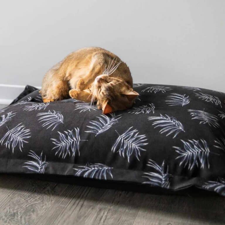 Cloud Pillow Bed - Be One Breed - Image 1