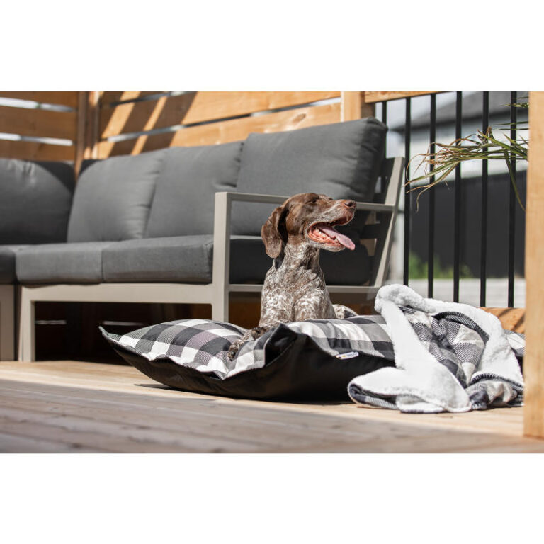 BeOneBreed Cloud Pillow - Black Plaid