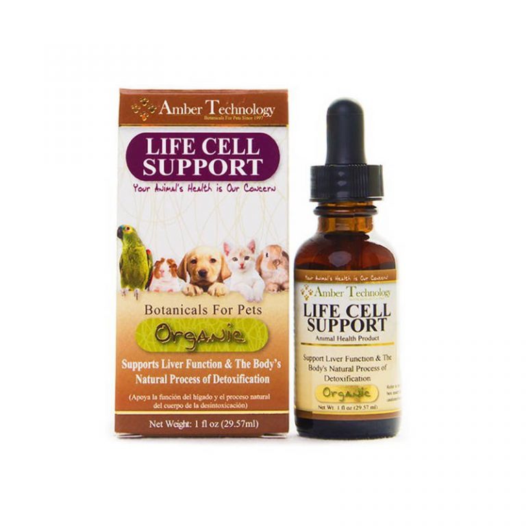 Life Cell Support - Image 1