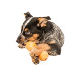 Qwizl Treat Toy - West Paw - Image 3