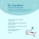 Kin + Kind Clean Ears - All Natural Leave In Solution for Dogs - Ingredient List