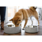 Be One Breed Concrete with Stainless Steel Bowl – Size Comparison