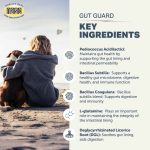 Four Leaf Rover Gut Guard - Image 5