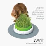 Senses 2.0 Playground - by Catit - Image 5