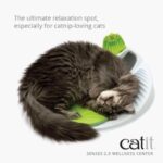 Senses 2.0 Playground - by Catit - Image 3