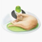 Senses 2.0 Playground - by Catit - Image 9