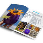 The Toy of Cooking Book (Treat Toy Recipes) - Westpaw - Image 3