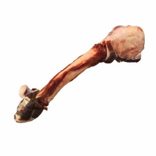 K9 Choice - Kangaroo Leg Bone K9 Choice - Kangaroo Leg Bone