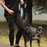 Crosscheck™ Dog Harness - EzyDog - Image 4