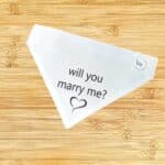 Proposal/Marriage Bandana - By Whatchama Collars - Image 2