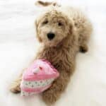 Birthday Cake - Plush Toy - Image 3