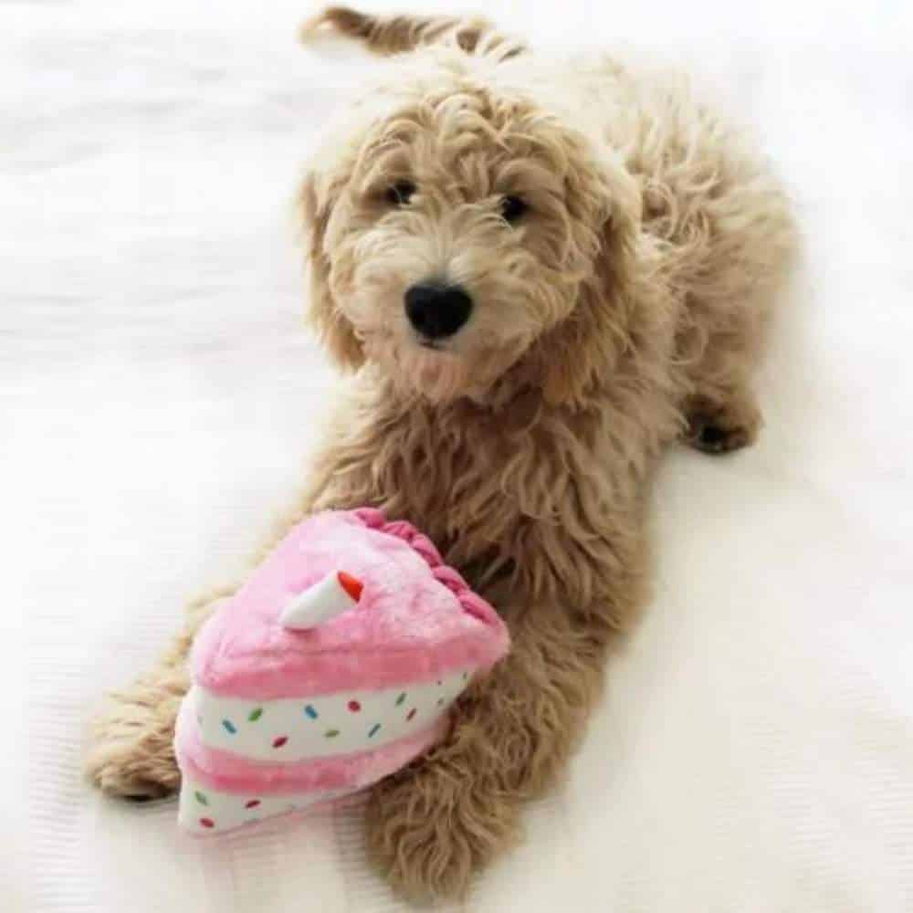 Zippy Paws Pink Dog Birthday Cake Birthday Cake - Plush Toy - Image 3