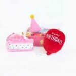Pup Birthday Box - Image 3