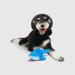 Chill Seeker Cooling Pals Toys - Image 5