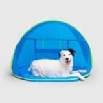 Chill Seeker Cooling Station -  2 in 1 - Splash Pad - Canada Pooch