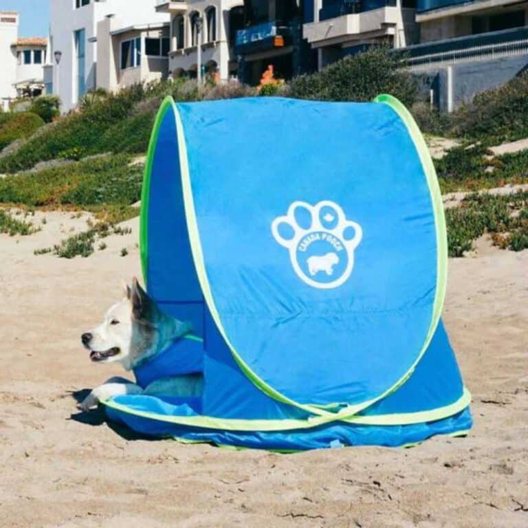 Chill Seeker Cooling Station -  2 in 1 - Splash Pad - Canada Pooch - Image 3