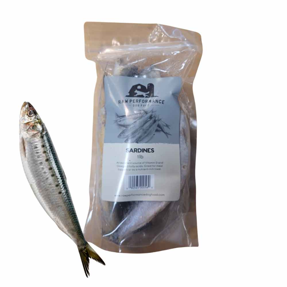 Raw Performance Whole Sardines Raw Performance Whole Sardines