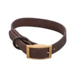 DexyPaws Waterproof Collar Espresso