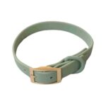 DexyPaws Waterproof Collar Sage Green