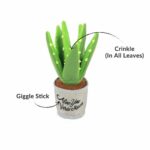 Blooming Buddies Aloe You Vera Plant Toy From Pet Play San Fransisco Detail