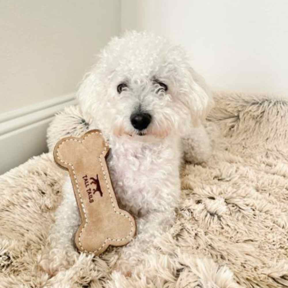 Tall Tails Natural Leather Bone Toy Dog Image Tall Tails Natural Leather Bone Toy Dog Image