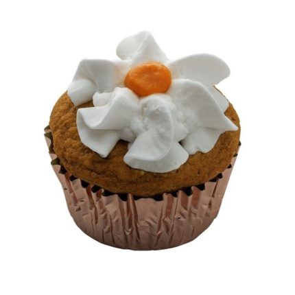 Swell Pupcake Pumpkin Treat Cake Birthday