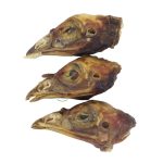 snack bar, turkey, turkey head, dehydrated