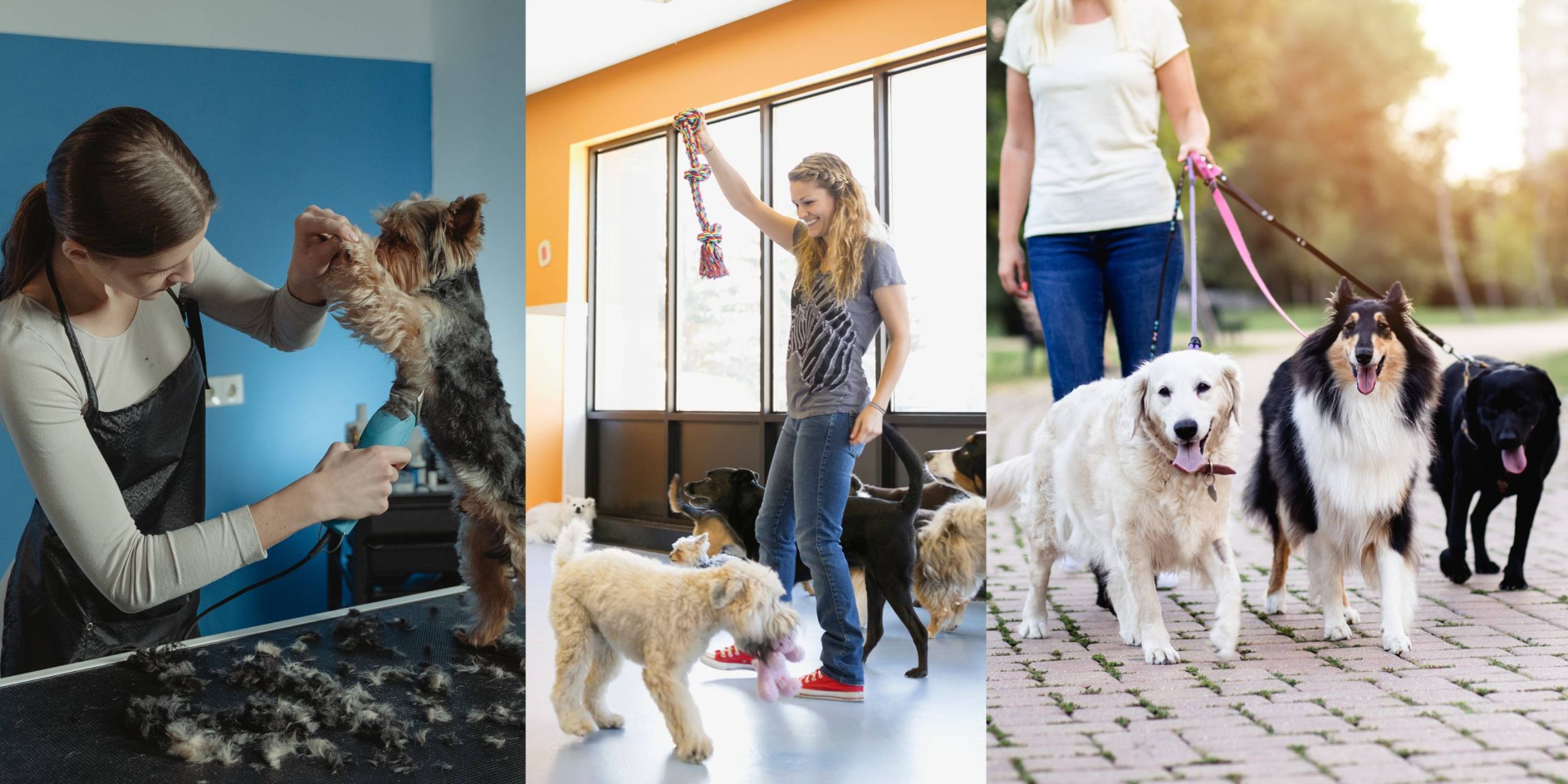 Pet Pro List - WEB BANNER (60 x 30 in)