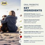 Four Leaf Rover Oral Health - Image 5