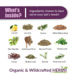 Amber Naturalz - Kidney Rejuvenator - Ingredients