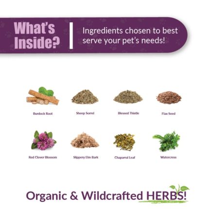 Amber Naturalz - Life Cell Support - Ingredients